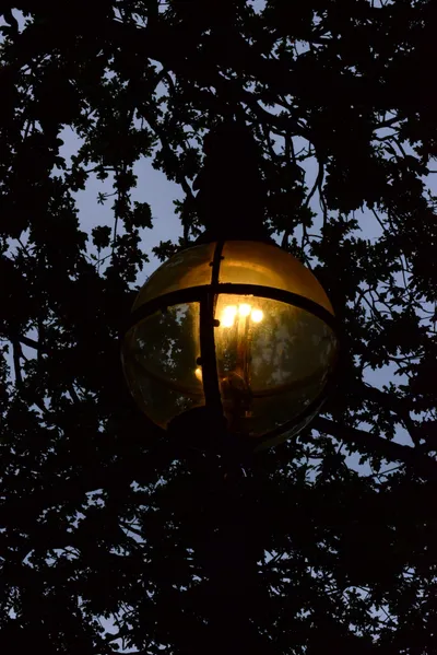 DSC_0667 (Large).JPG